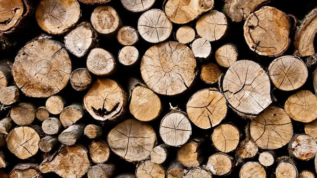 Secciones transversales de troncos de madera compuestos