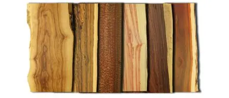 Secado de madera en vaselina del archivo histórico