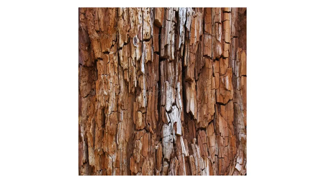 Primer plano de madera agrietada y podrida